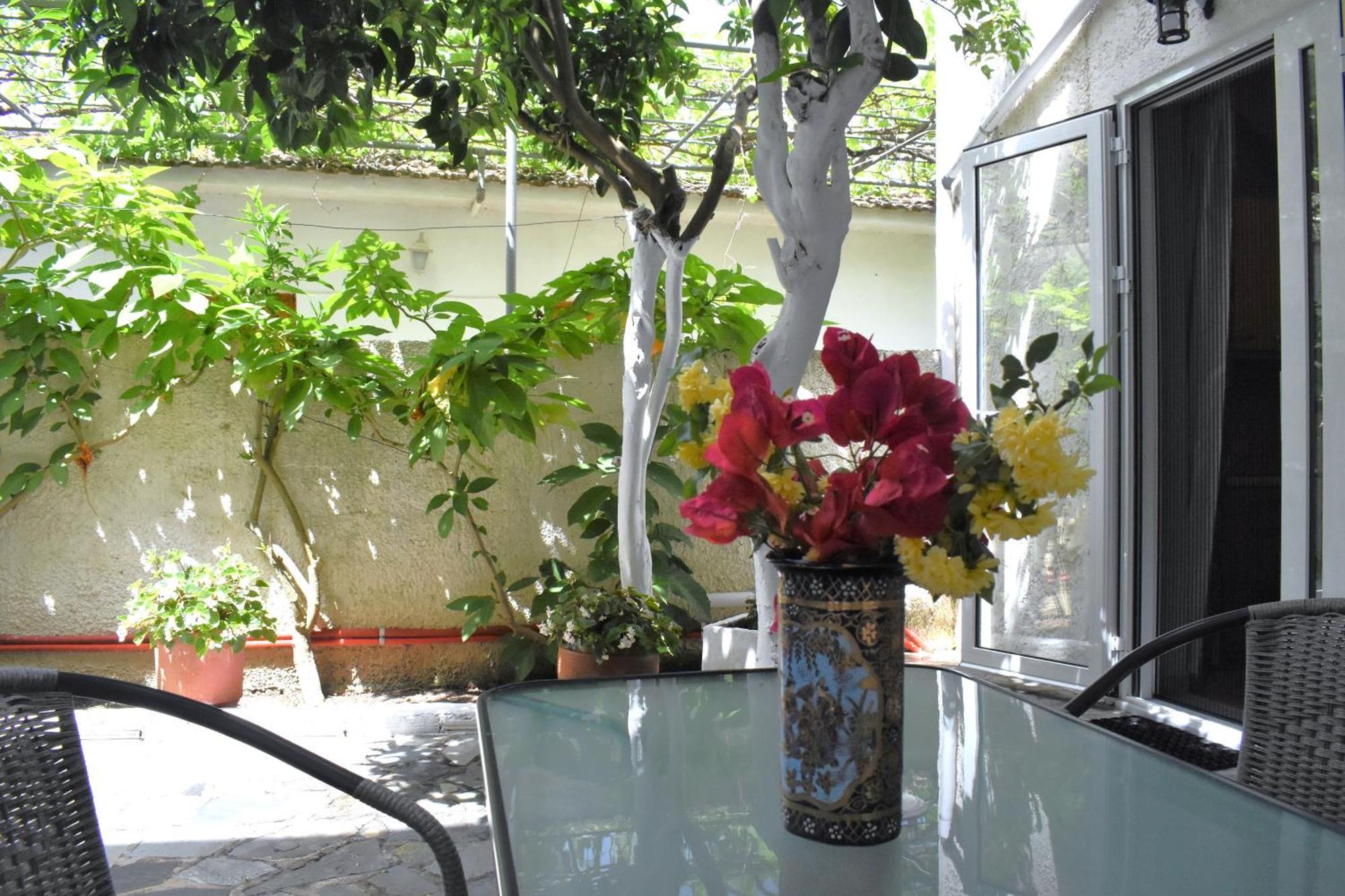 Starvillas Apartments And Studios Agia Efimia Buitenkant foto