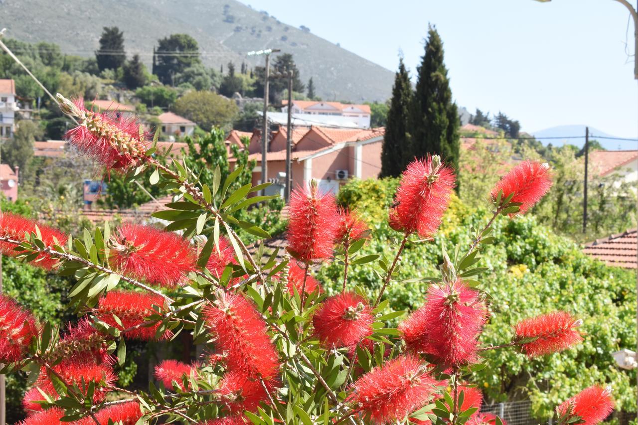 Starvillas Apartments And Studios Agia Efimia Buitenkant foto
